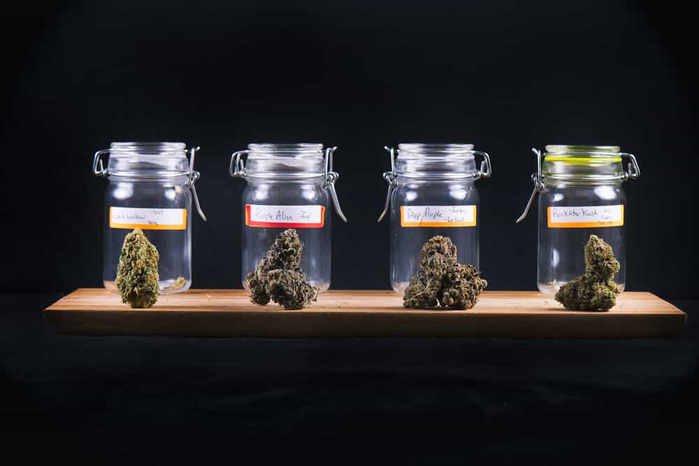Different Types of Marijuana 